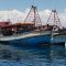 Situasi Laut China Selatan Menegangkan, Malaysia Tembak Mati Nelayan Vietnam