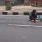 Ilustrasi. Akibat kelaparan dan juga depresi, seorang pekerja asing di India berusaha memakan bangkai anjing yang tergeletak di jalan tol Rajasthan /Youtube.com/@ pradhuman singh naruka (Foto: Pikiran-rakyat.com)