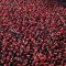 Jika Jokowi Teken UU Cipta Kerja, Buruh Ancam Demo Besar 1 November