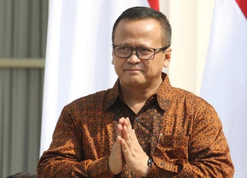 Arief Poyuono: Izin Ekspor Benih Lobster Banyak Diberikan kepada Kader Gerindra dan Keluarganya