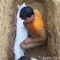 Tak Hanya Utuh, Jasad Kiai di Sampang yang 3 Tahun Terkubur Ini Juga Wangi