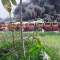 Puluhan Bus Bekas yang Terbakar di Bogor Bukan Milik Transjakarta, Lalu Punya Siapa?