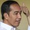 Jokowi Didesak Turun Tangan Langsung Stop Izin Penambangan Baru Di Kalsel