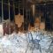 BREAKING NEWS: Gedung E Kantor Bupati Karimun Terbakar