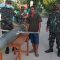 Drone Asing di Selayar, Pengamat Militer Singgung Kemungkinan Perang