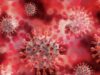 China Minta Amerika Serikat Buktikan 4 Hal Ini Jika Ingin Ungkap Asal-usul Virus Corona