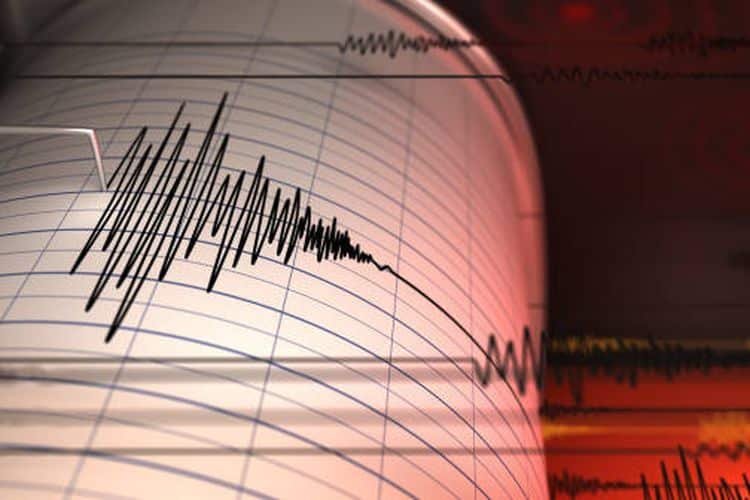 Gempa Magnitudo 7,4 Guncang Tanah Bumbu Kalsel, Terasa hingga Kuta, Blitar, dan Bantul